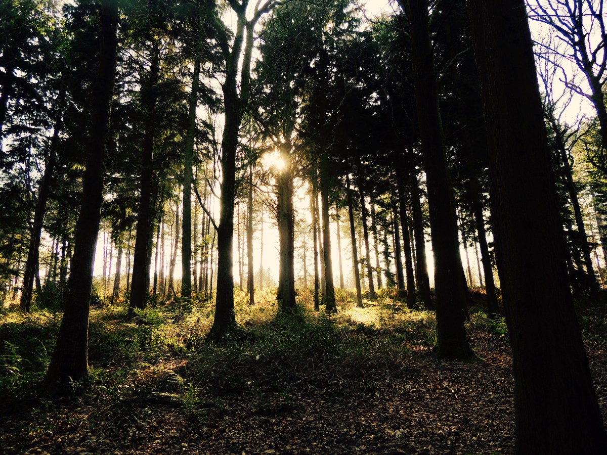 Go On Micro-Adventures