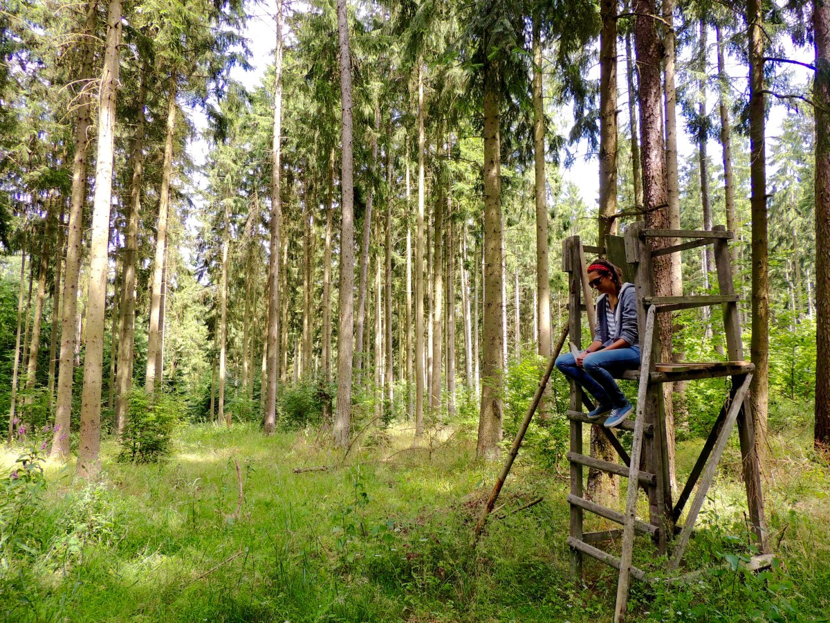 It’s Time To Save The&nbsp;World