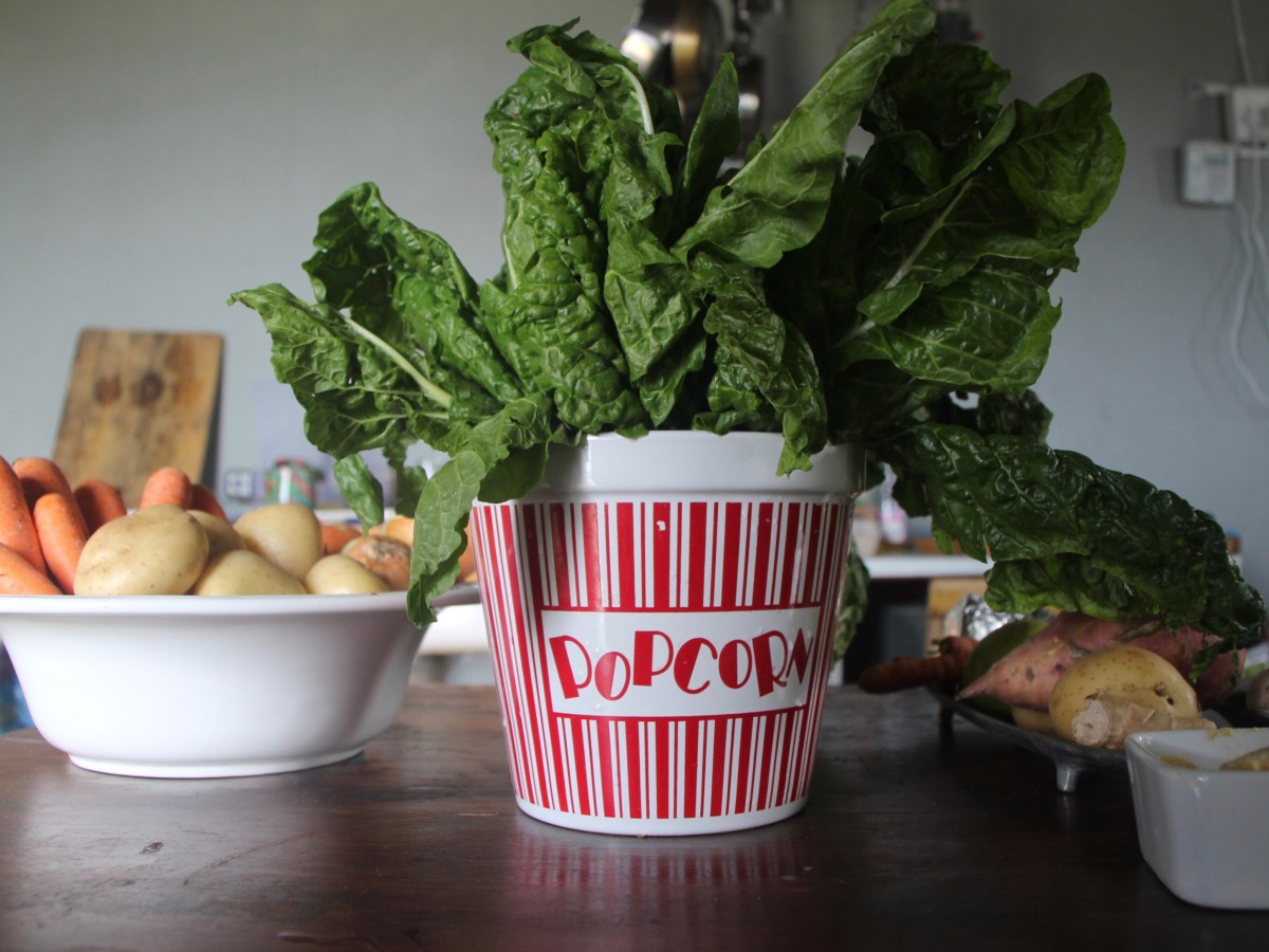 BBQ Pulled Jackfruit