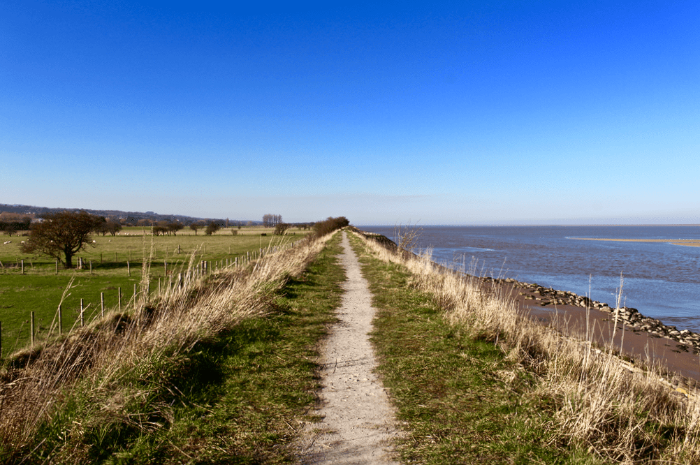 Screen Shot 2019-02-28 at 20.33.53.png