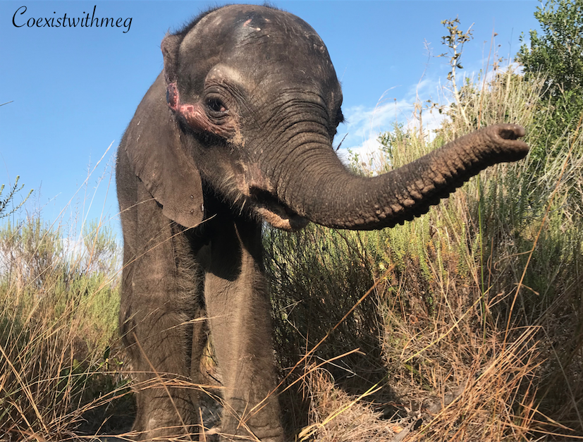 Screen Shot 2019-09-18 at 11.37.41.png