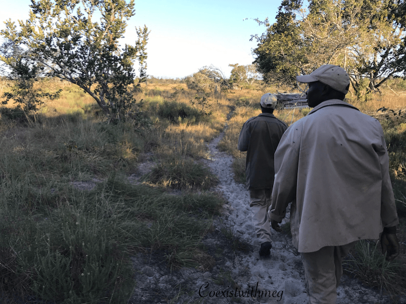 Screen Shot 2019-09-25 at 10.59.52.png