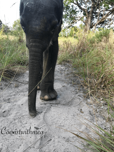 Screen Shot 2019-09-25 at 11.04.25