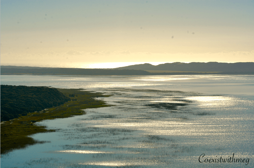 Screen Shot 2019-10-02 at 17.39.55.png