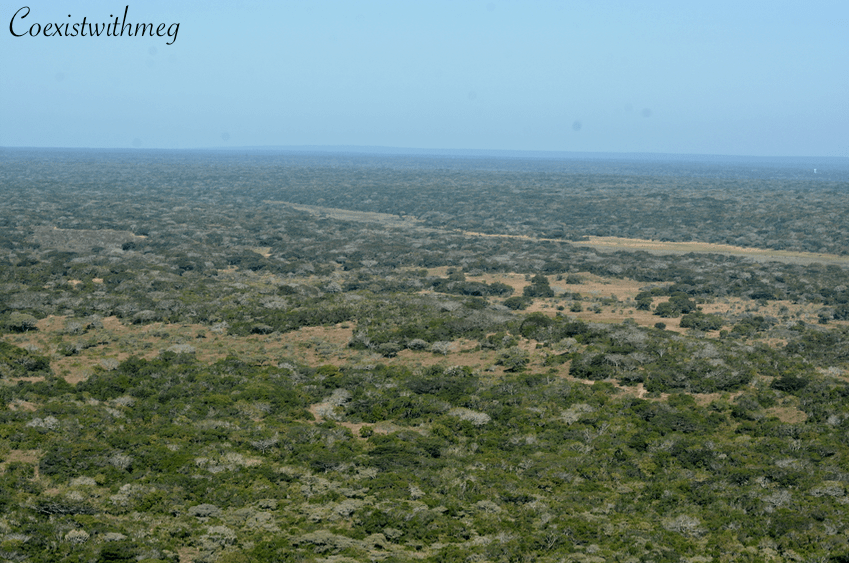 Screen Shot 2019-10-02 at 17.44.32.png