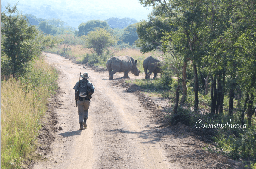 Screen Shot 2019-10-09 at 18.50.37.png