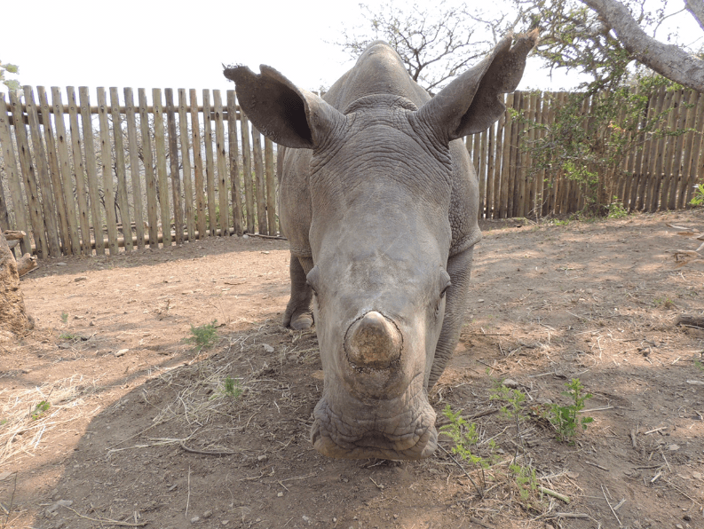 Screen Shot 2019-10-16 at 16.34.12.png