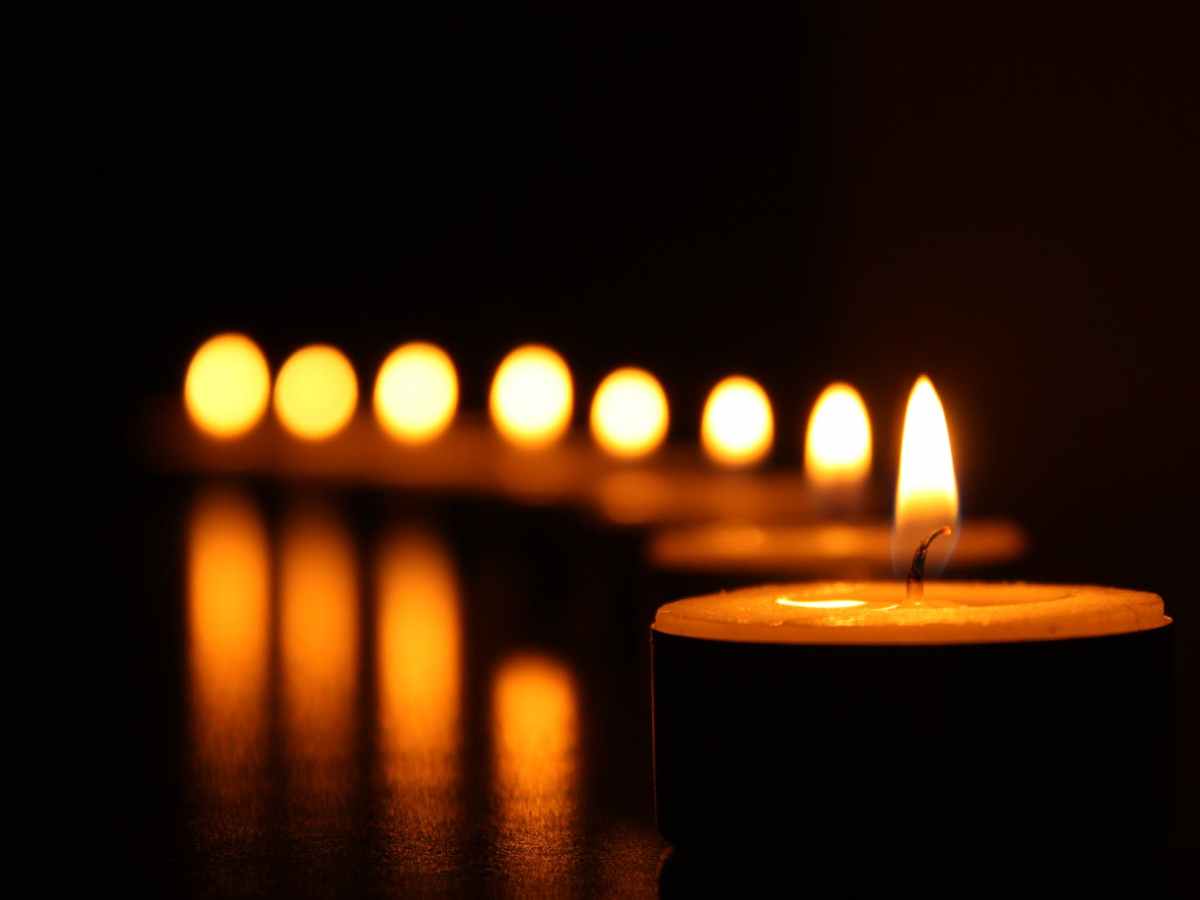 Sad News From Virunga National&nbsp;Park